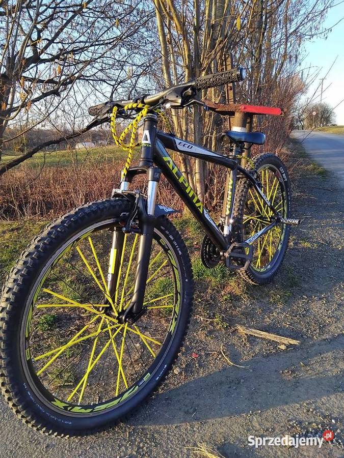 Rower mtb alpina śląskie Kozakowice Górne