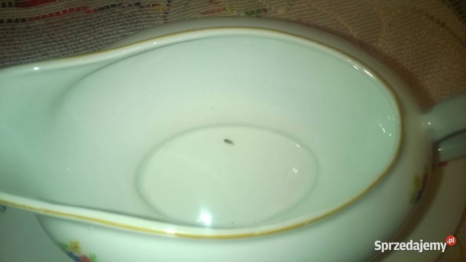 sosjerka GIESCHE małopolskie Kraków