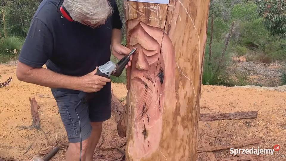 dłuta do drewna ze szlifierką elektrodłutem Drzwi i okna