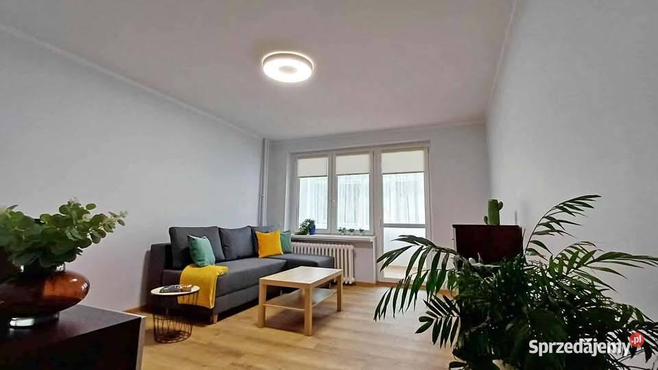 1pok 30met Sienkiewicza REMONCIE Wrocław 30m2 Wynajem sprzedam