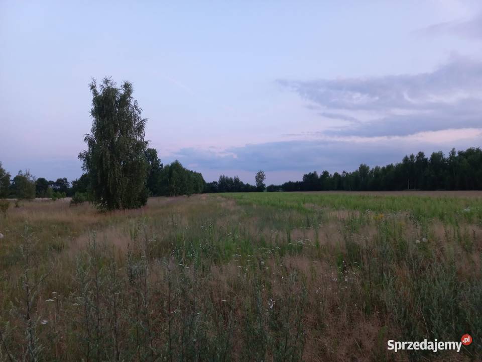 Działka budowlana drodze asfaltowej budowlana sprzedam