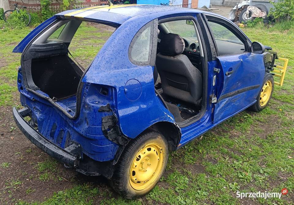 Auto na wrak race Gostynin
