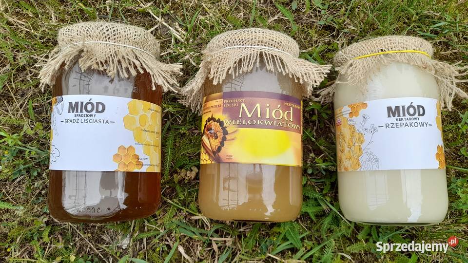 Miód Wielokwiatowy SPADZ LISCIASTA zbiór 2023 Miody i produkty pszczele opolskie sprzedam
