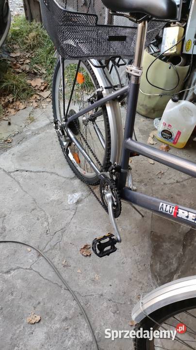 Rower damski Alu Rex