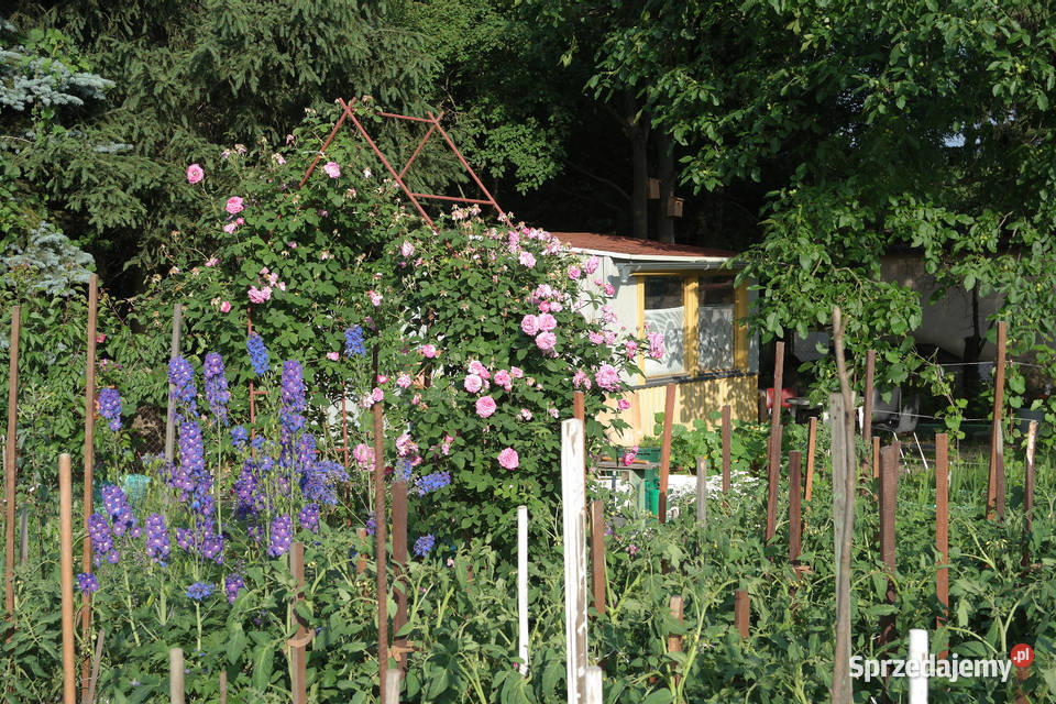 Sprzedam działkę ROD Lotnik Stachowicka