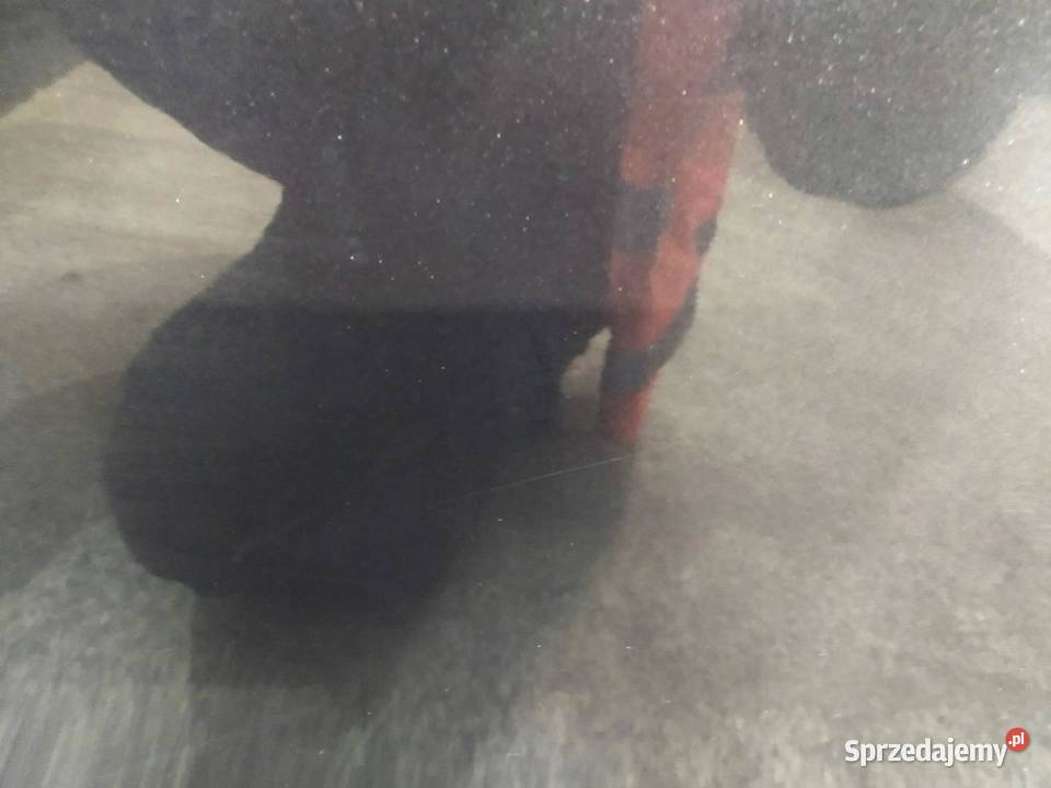 DRZWI TYŁ PRAWE KOMBI AVANT LZ7L Audi A4 IV świętokrzyskie