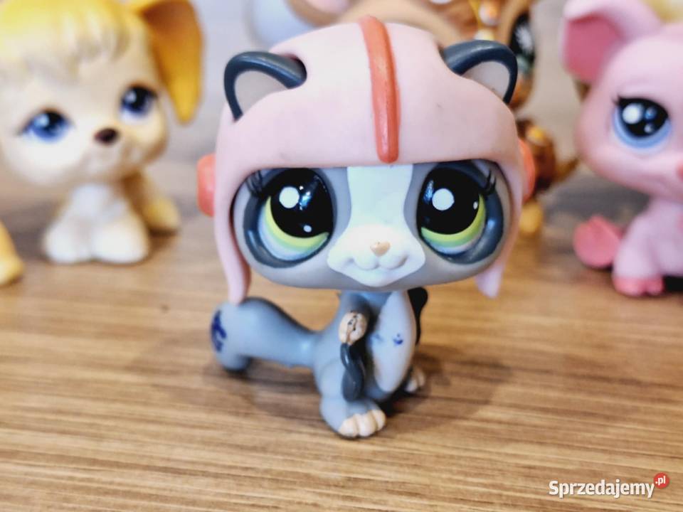 Wiewiórka latająca Littlest Pet Shop warmińsko-mazurskie