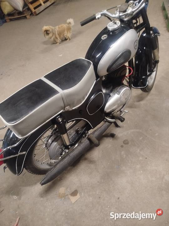 SHL m11 na białe tablice 175cm3 Motoryzacja Terebiń sprzedam