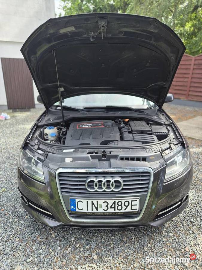 Audi A3 P8 2011 Toruń
