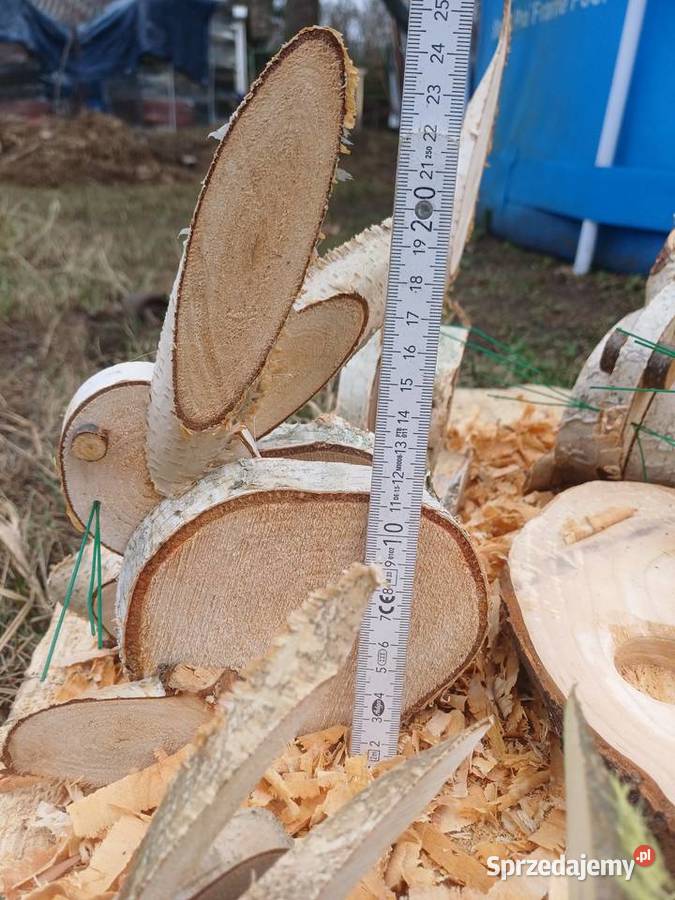 zajac wielkanocny Żary sprzedam