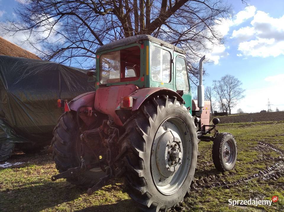 Sprzedam mtz 50 Belarus Bolesławiec sprzedam