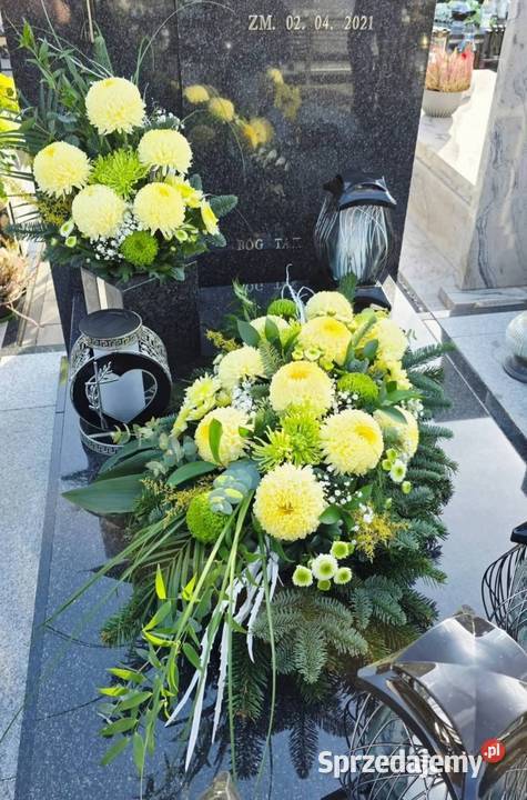 Chryzantemy doniczkowe wiązanki i bukiety Radom