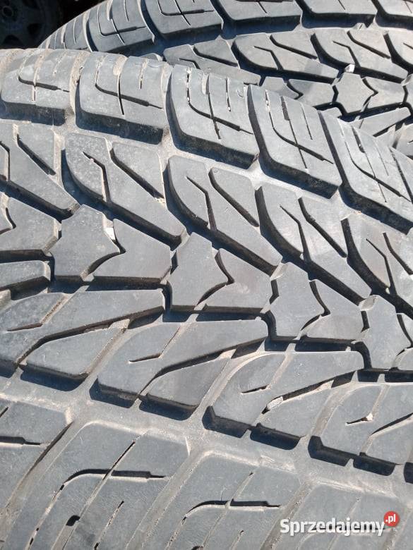 Opony nexen HP 2555518 Samochodowe Sobolew