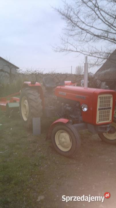 Glebogryzarka Unia Grudziądz świętokrzyskie Samborzec