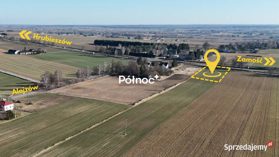 Działka komercyjna 030 ha DK74 Alojzów sprzedam