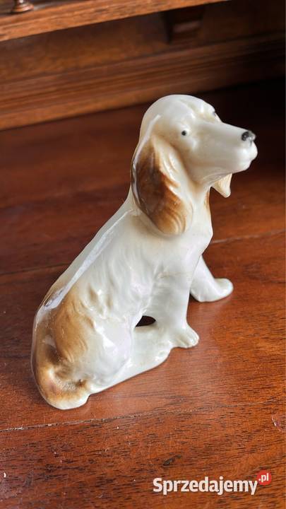 Piesek Figurka porcelanowa Śliczna figurka bez pomorskie
