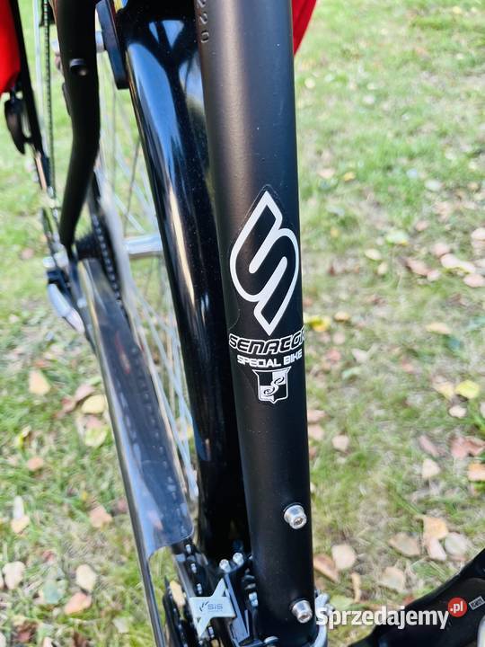 Rower trekkingowy Sprick Senator Messenger rama