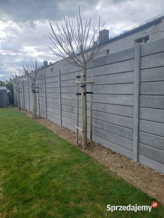 Ogrodzenia betonowe Wrocław Przęsła dolnośląskie sprzedam