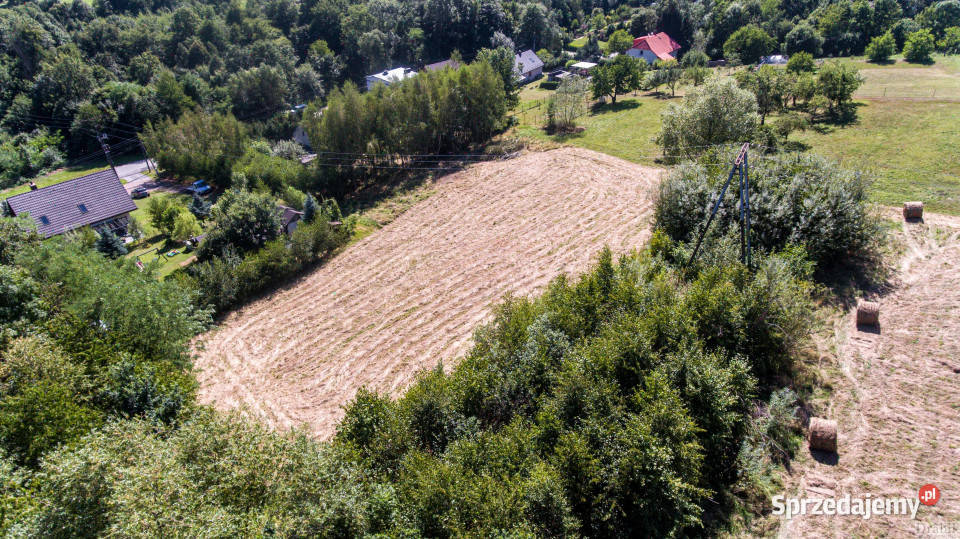 Działkę sprzedam 2385m2 Gorzeń Dolny Dworkowa gaz