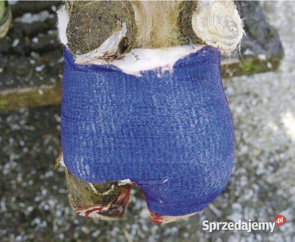 Bandaż niebieski 75 VV1667