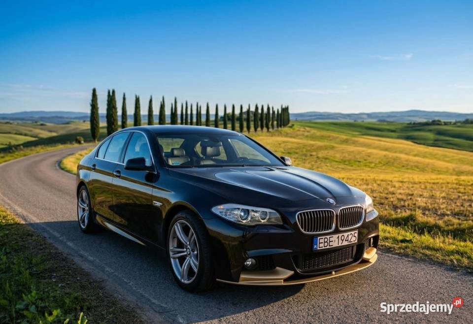 BMW Seria 5 F10 MPakiet skóry zadbany okazja aluminiowe felgi Seria 5 Bełchatów