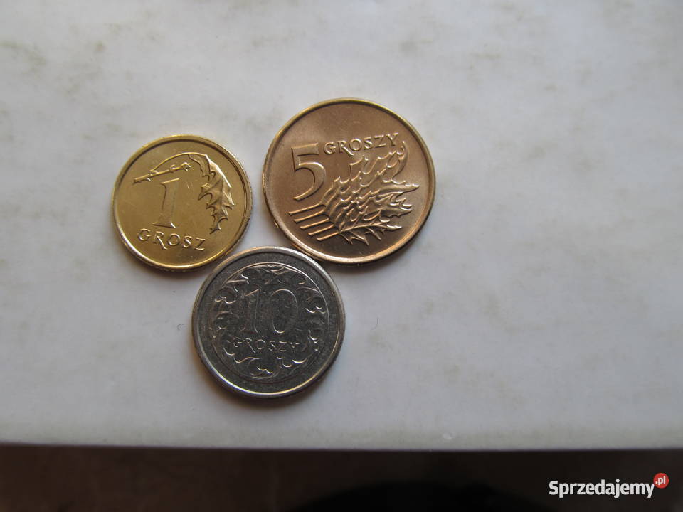 1gr5gr10gr zestaw A Lublin