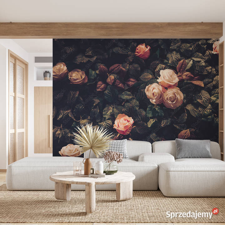 Piękne Fototapety WSZYSTKIE WZORY BEŻKASZMIR sprzedam