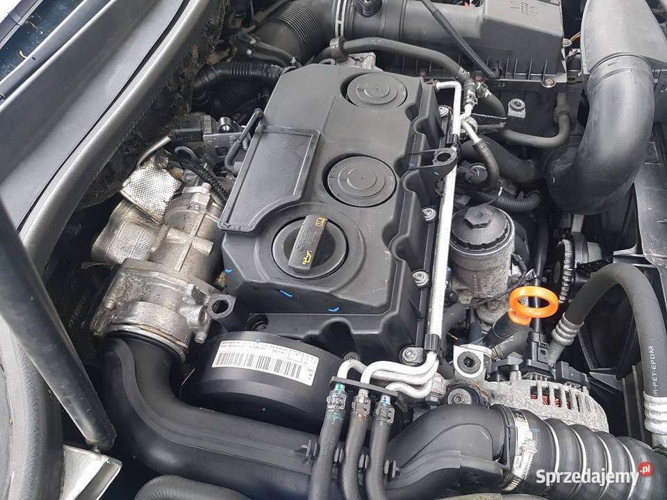 VW GOLF V CADDY SILNIK 19 TDI BLS 105 KOMPLETNY osobowe Silniki kompletne Turkowice