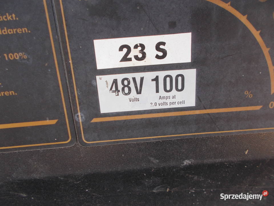 Ładowarka do wózka 48V 100A Karasiewo