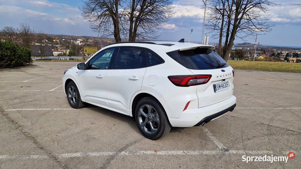 Ford Escape Kuga 20 benzyna 252 automat STLine 31000km Ford Katowice