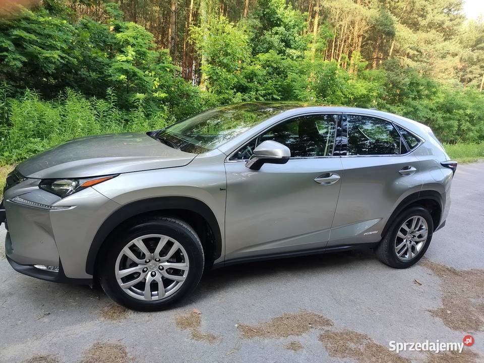 Lexus 300H 44 Panorama Bezwypadkowy Serwisowany ABS NX