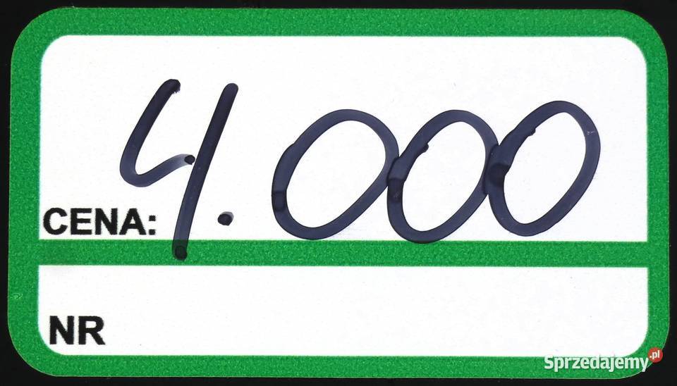 Odkurzacz naburtowy ECHO LG600HO Baras Świnice Warckie sprzedam