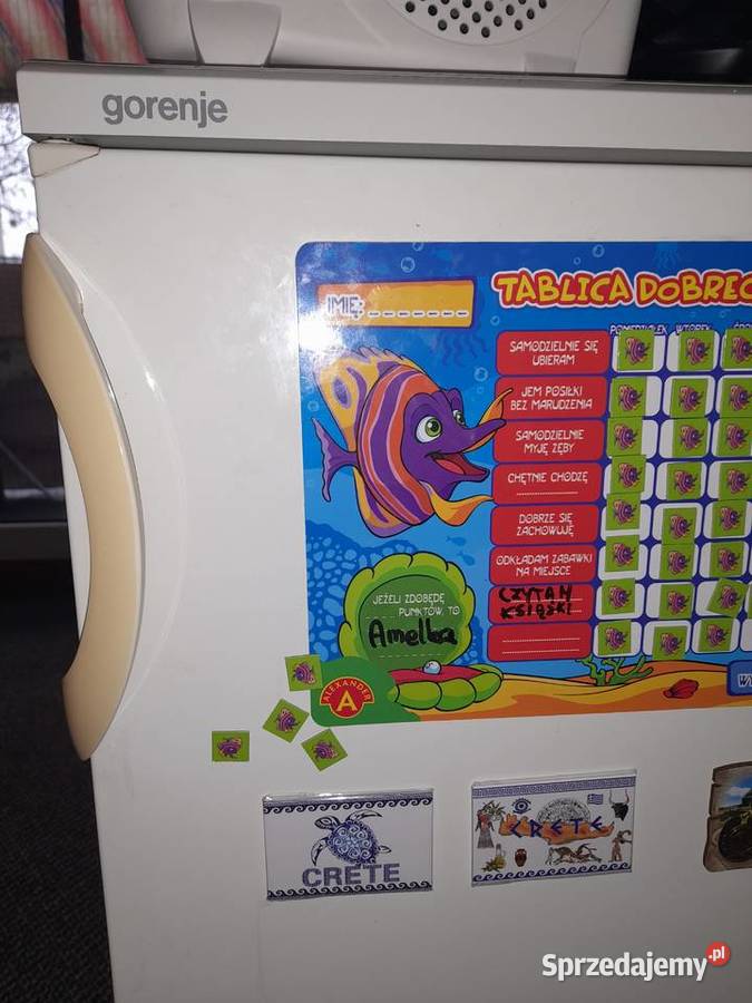 Sprzedam lodowke firmy Gorenje Tanio mam nowa Pozostałe