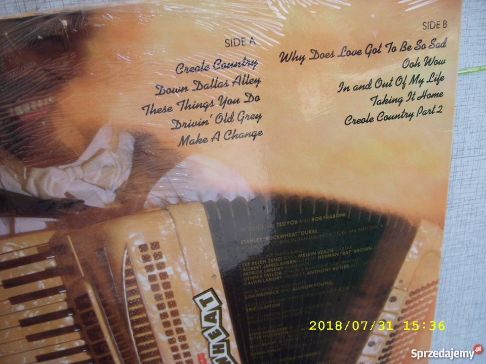 Blues LP BUCKWHEAD ZYDECOTACING IT