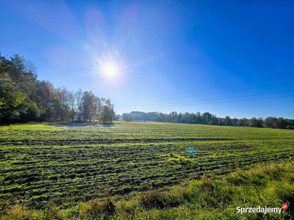Działki budowlane Serock 15 jeziora Firlej Sprzedaż sprzedam