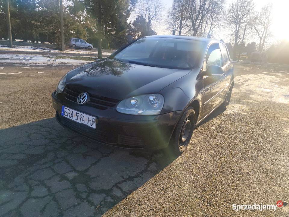 Volkswagen Golf 5 032004 19tdi 105koni Android Radomsko