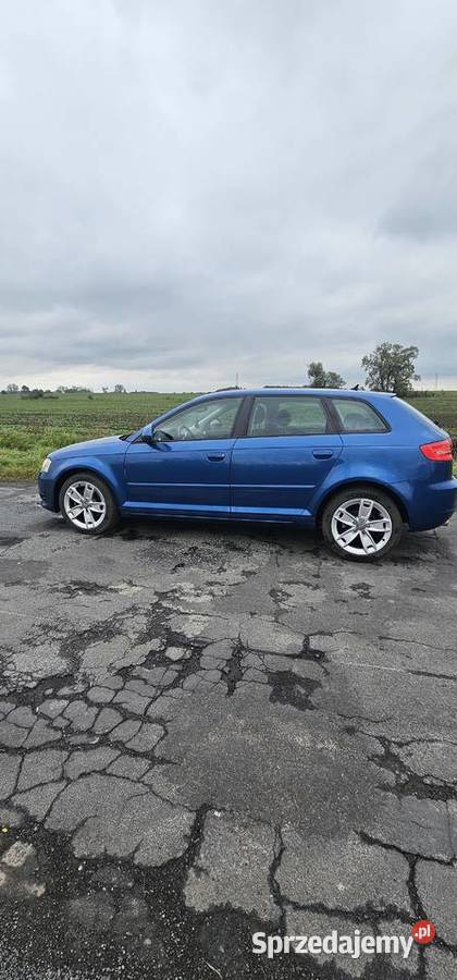 Audi A3 8p 20 TDI 1968cm3 Strzelin
