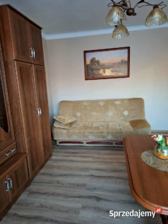 Wynajem mieszkania Wynajem Starachowice