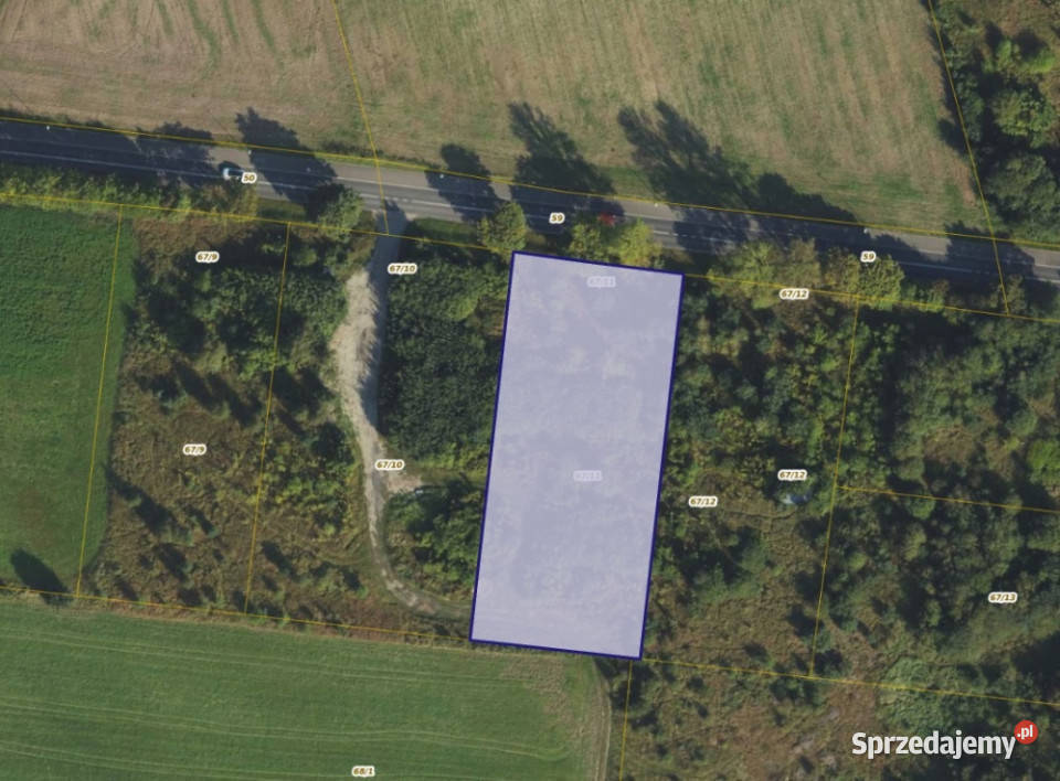 Działka 6711 w miejscowości Dębogórze 3095m2 sprzedam