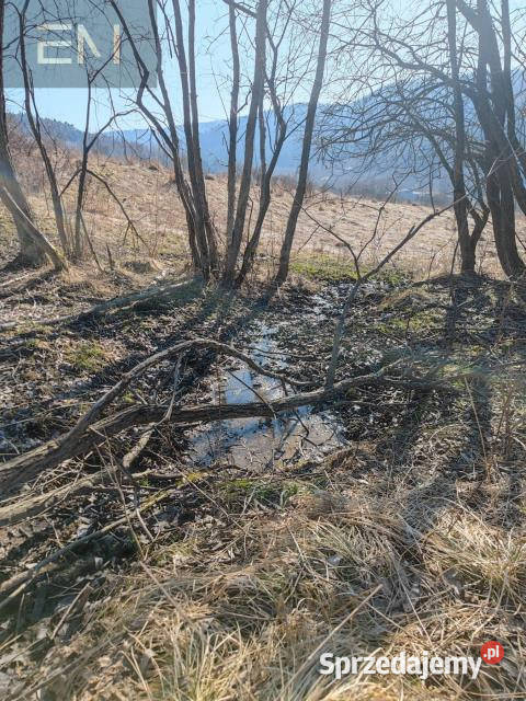 sprzedaży działki 14000m2 Krościenko 23zł/m2