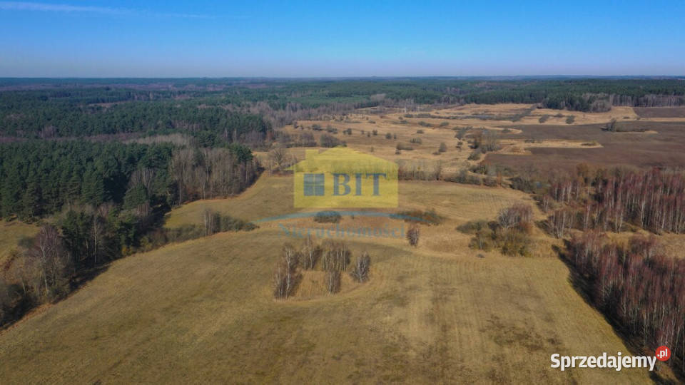 Działka 20 ha z dostępem do J Wilczkowo Sprzedaż Siemczyno