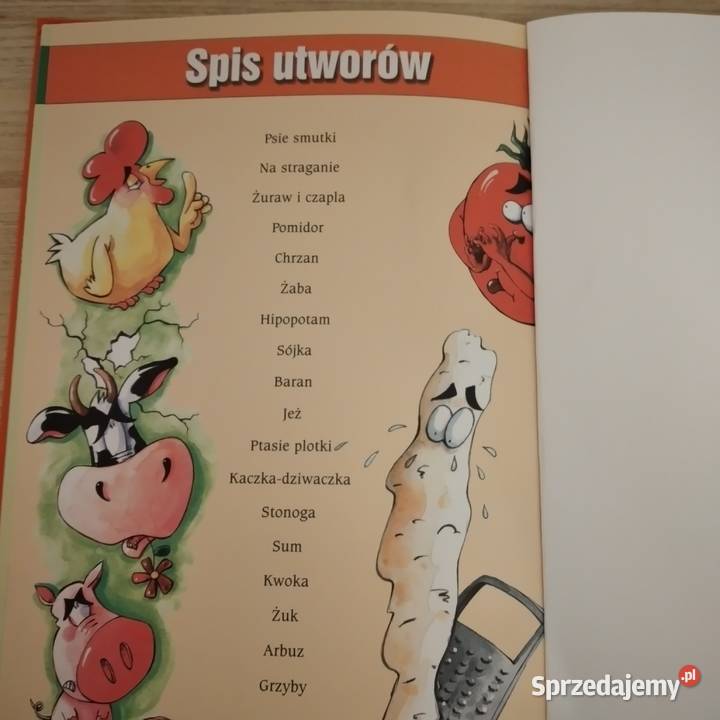 ksiażki dziecibajki Bukowno