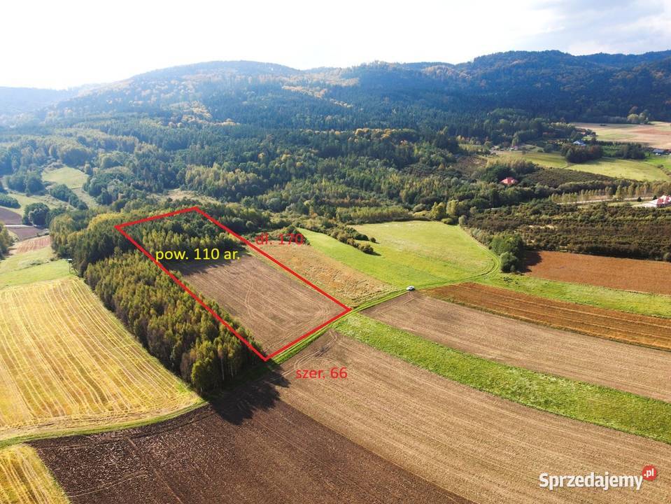 Dziaka rolna 110 ar Oparówka