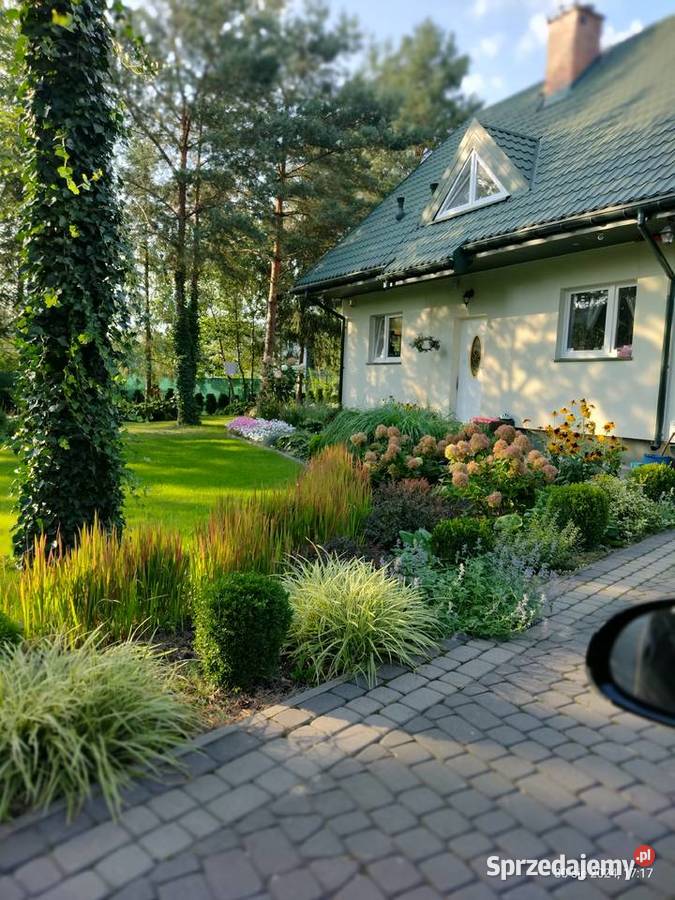 Rośliny z ogrodu Komornica