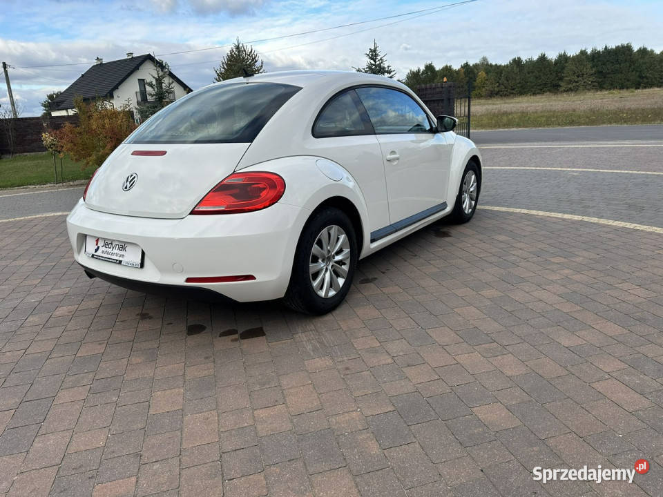 Volkswagen Beetle Lipówki