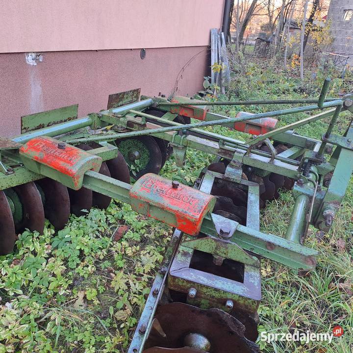 Talerzówka Eberhardt