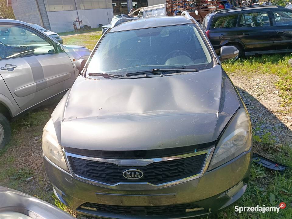 Kia Ceed 16 9270 kW 2010 r dawca części Szklarka Myślniewska
