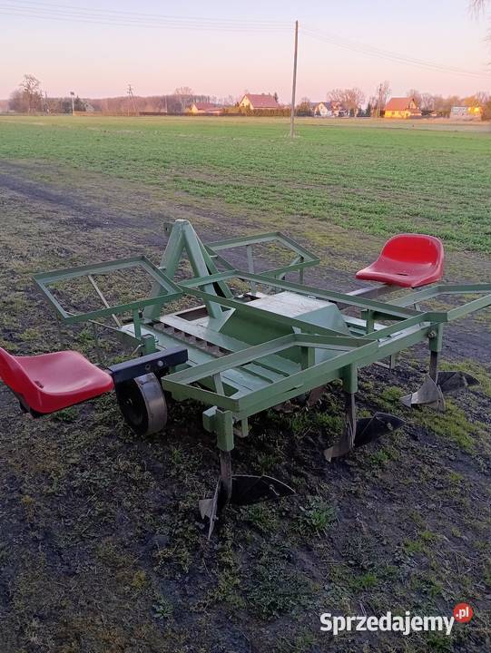 Sadzarka do ziemniaków podkiełkowanych Płońsk