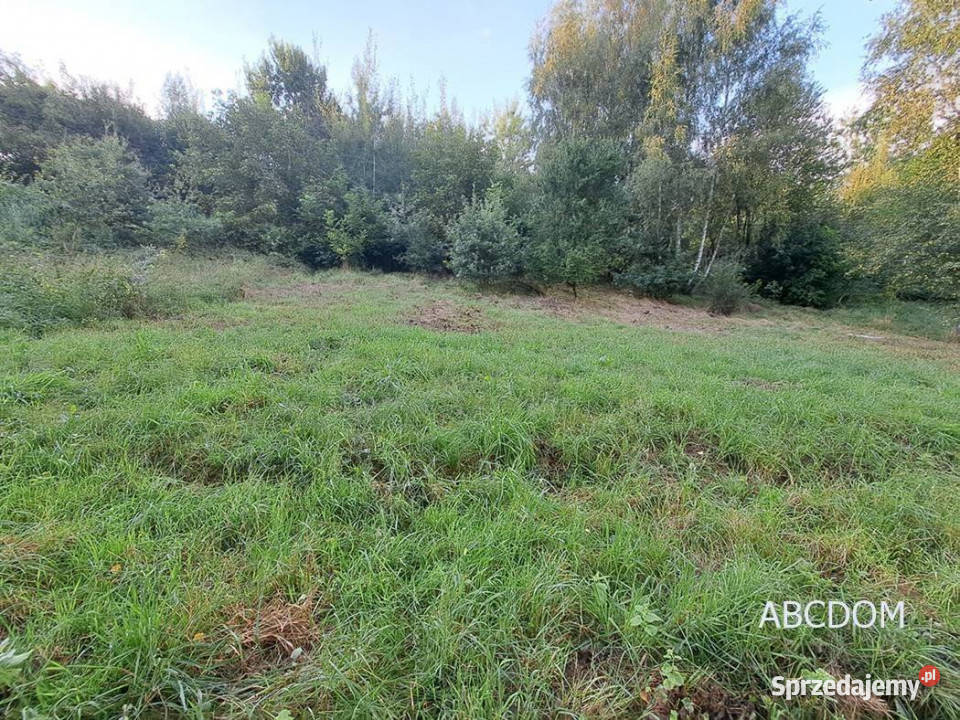 Nielepicedzialka budowlana w otoczeniu zieleni asfalt Nielepice