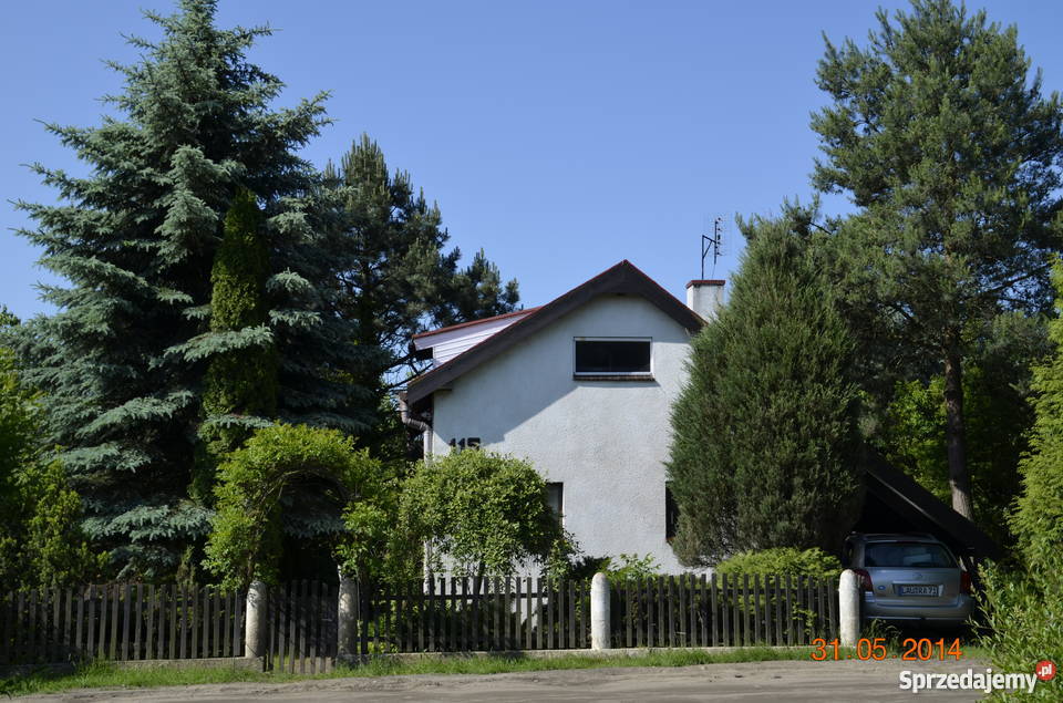 Działka ROD Kalina koło Gniezna Gniezno